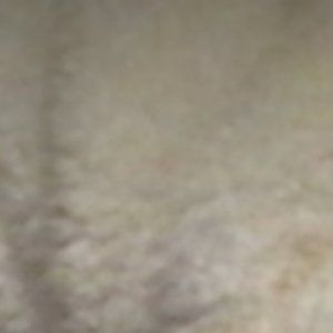 Quick question brandy melville sweatpants